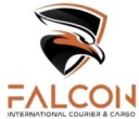 Footer Logo
